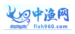 中渔网Logo