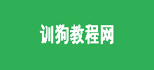 训狗教程网