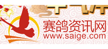 赛鸽资讯网Logo