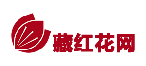 藏红花网logo,藏红花网标识