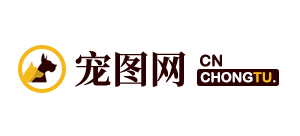 宠图网Logo