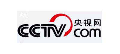 央视网logo,央视网标识