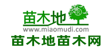 苗木地Logo